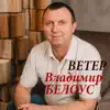 Vladimir Belous - Ветер